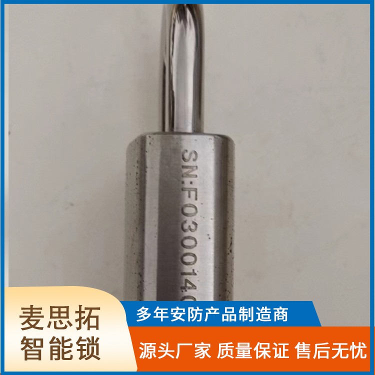 无源电子箱变锁产品结构示意