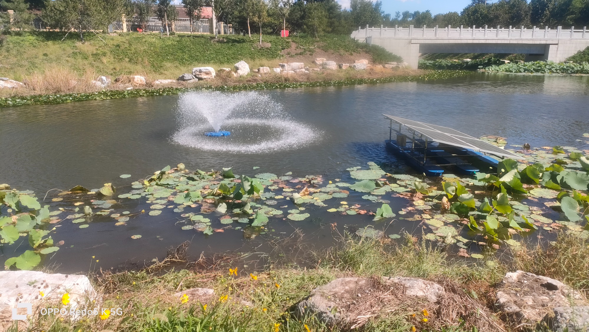 水体生态修复实景图