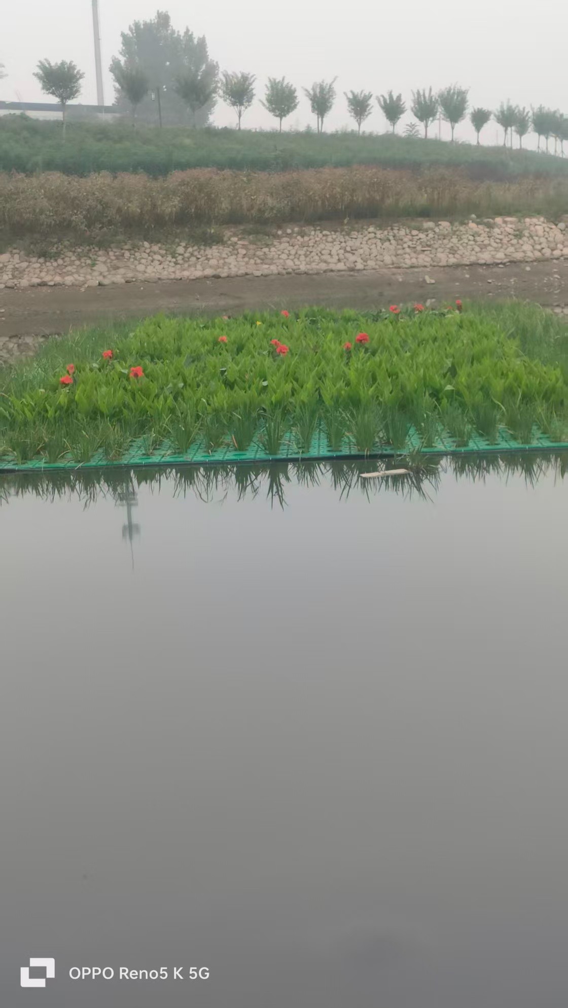 生态浮岛与水景治理效果
