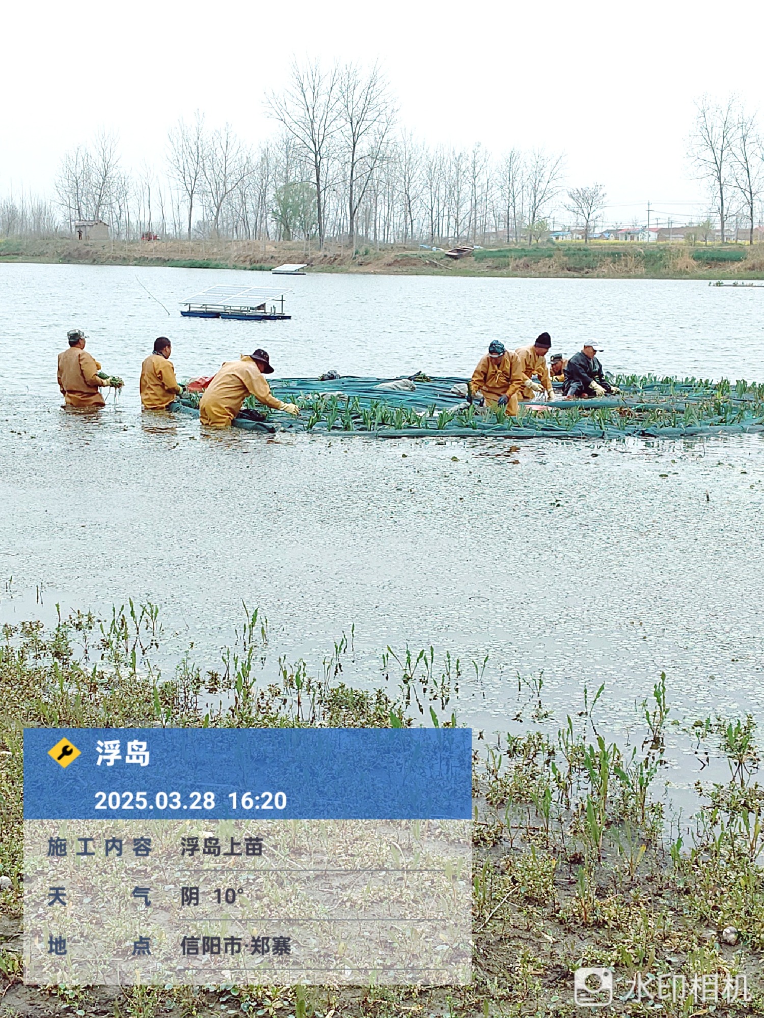 水生植物生态基地区域