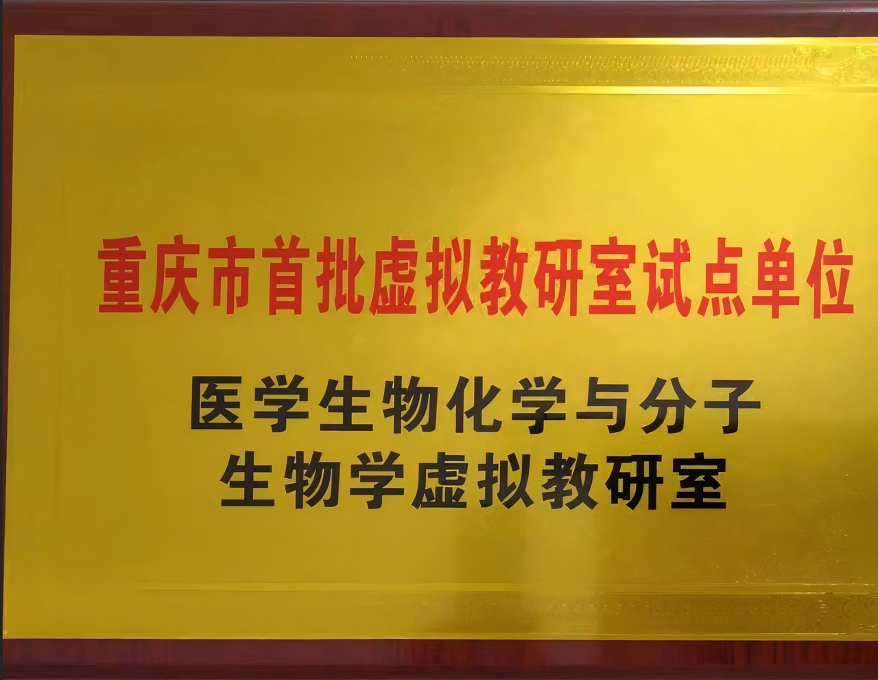 全链路交付实景展示