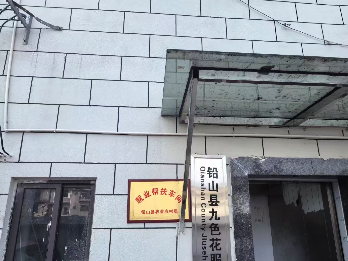 实拍图