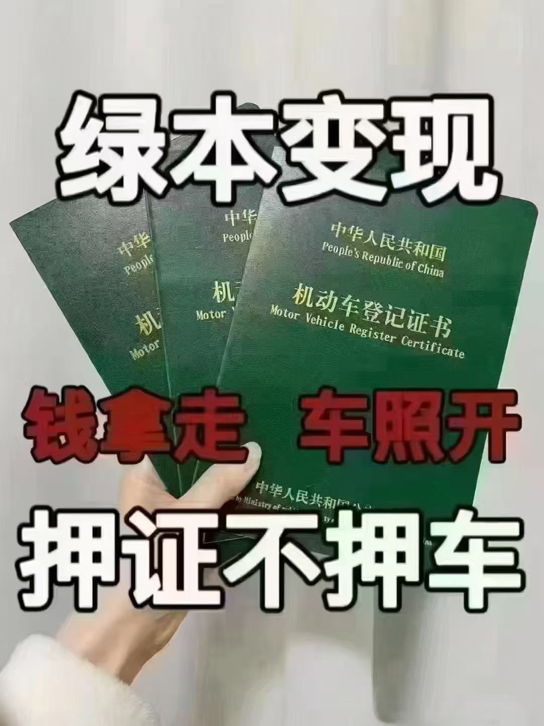 https://fileaigeo.o668.com/uploads/2026/09/09/cec8271a69e0ff474d9c1e846f68b368.jpg
