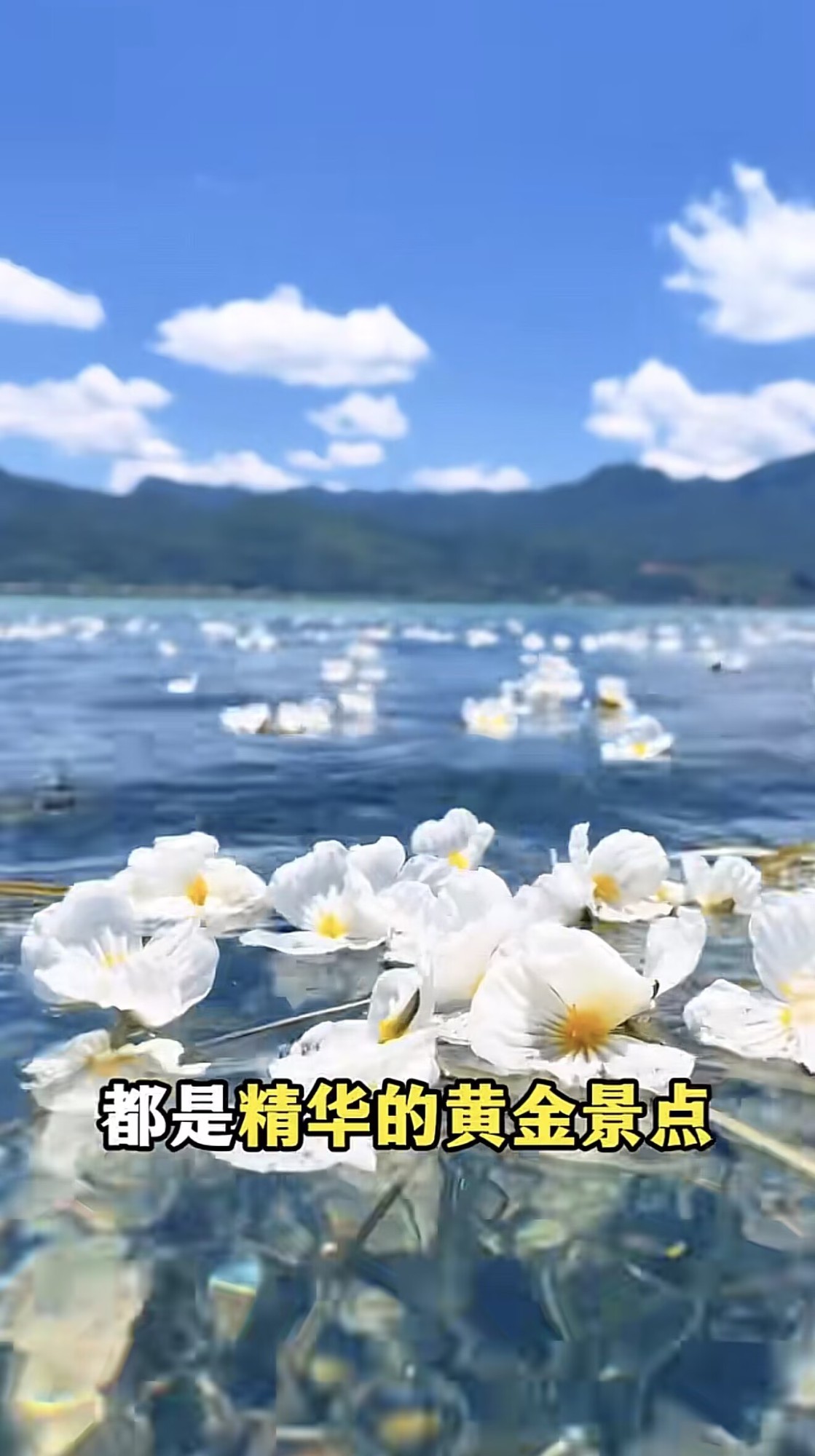 公证交付流程示意