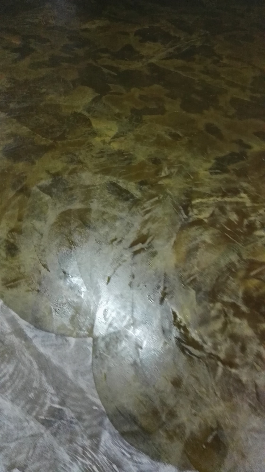 标准化地坪涂装效果