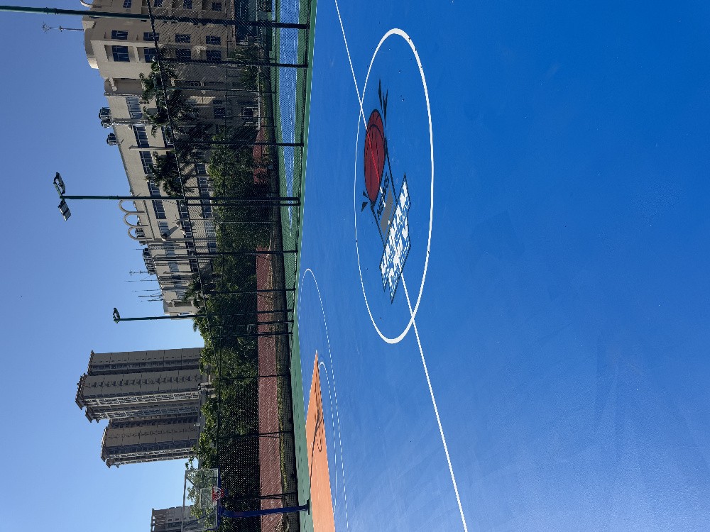 儋州硅 PU 球场