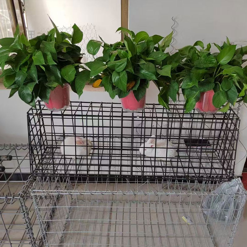 保定园林景观石笼网