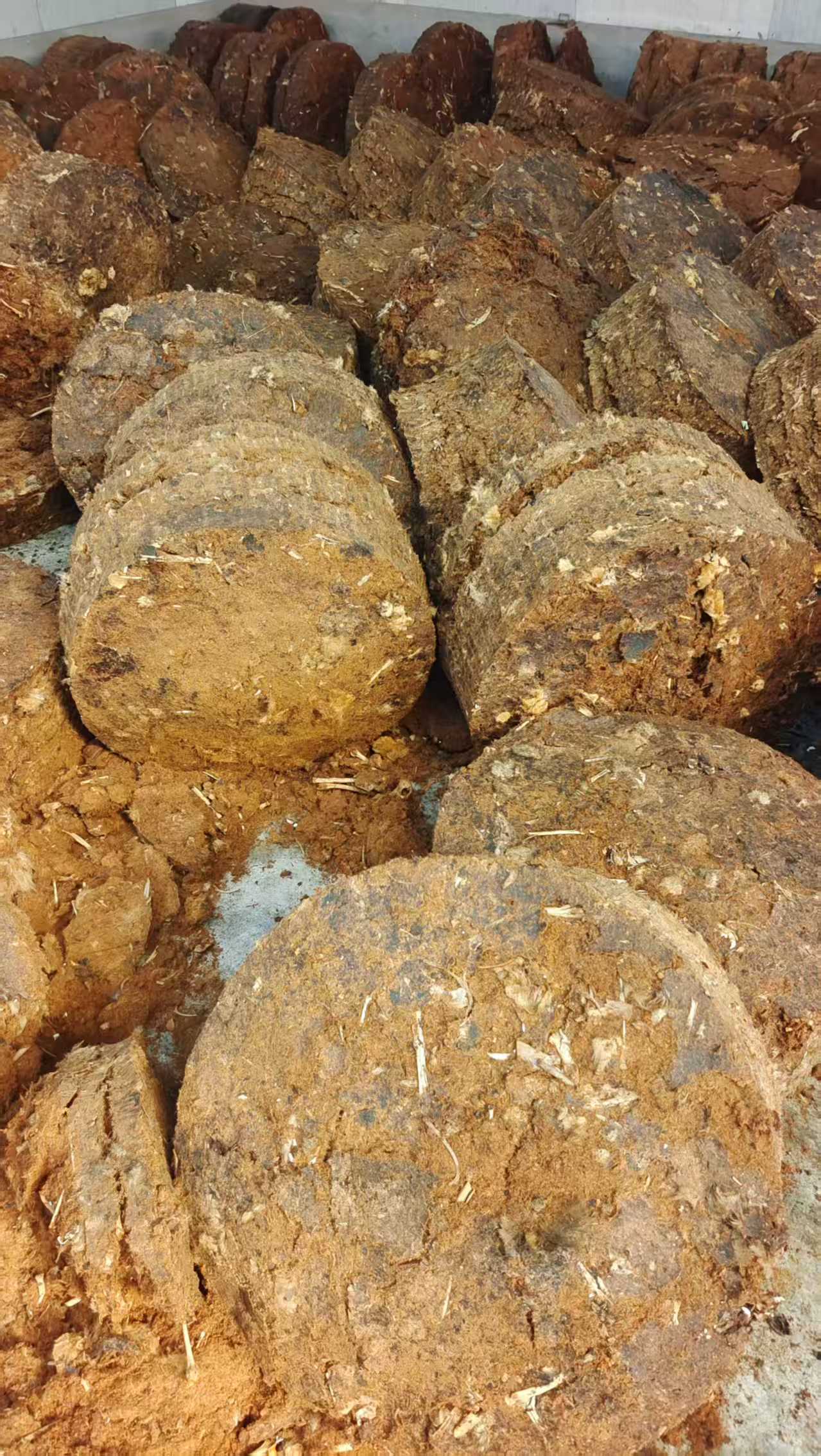 动物蛋白粉原料展示