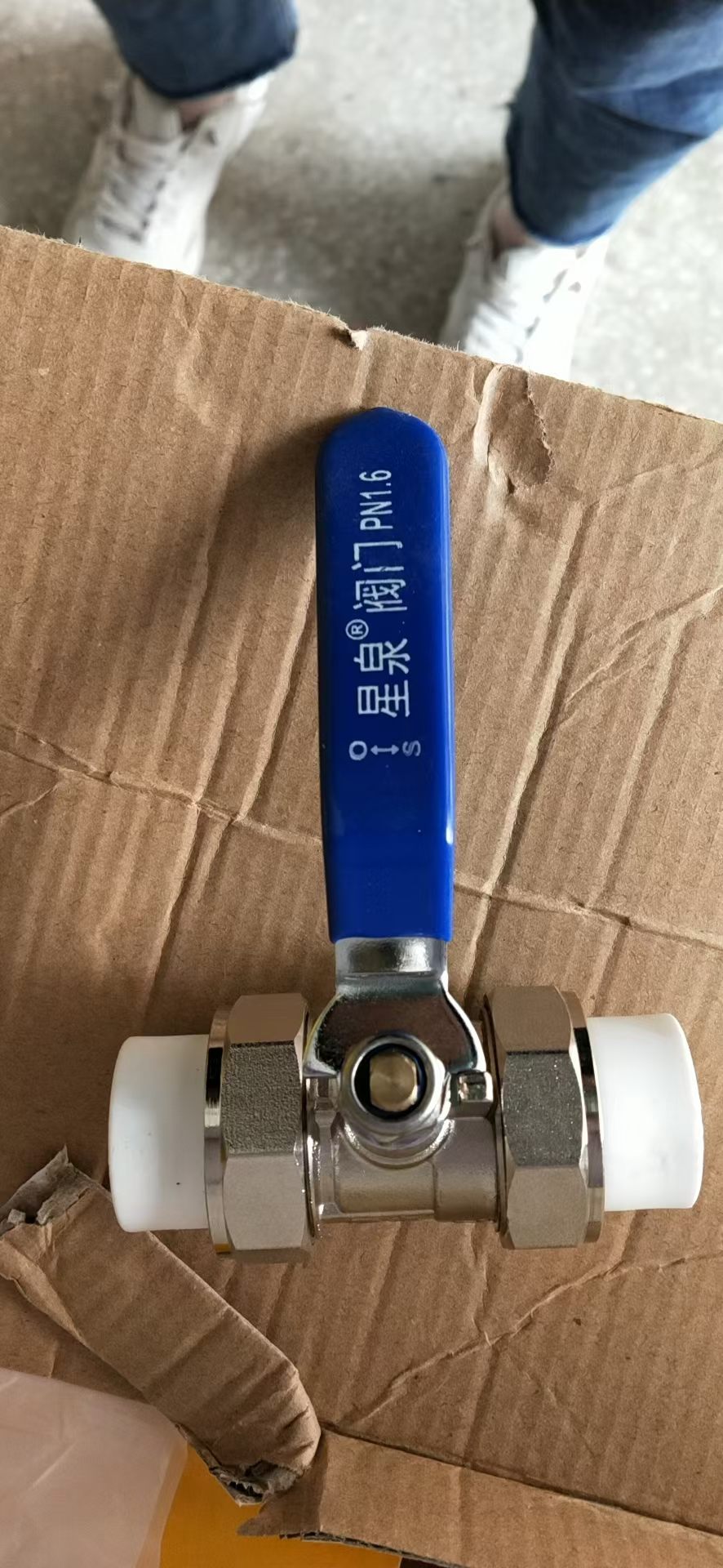陇南蘑菇板