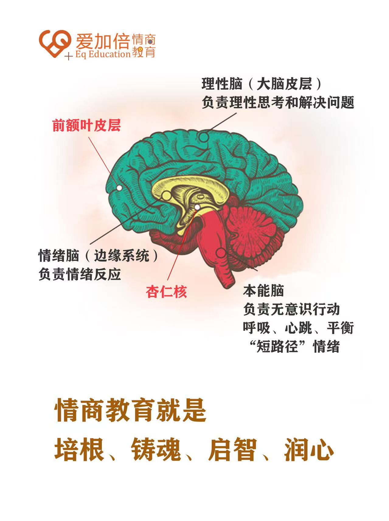 课堂互动实景