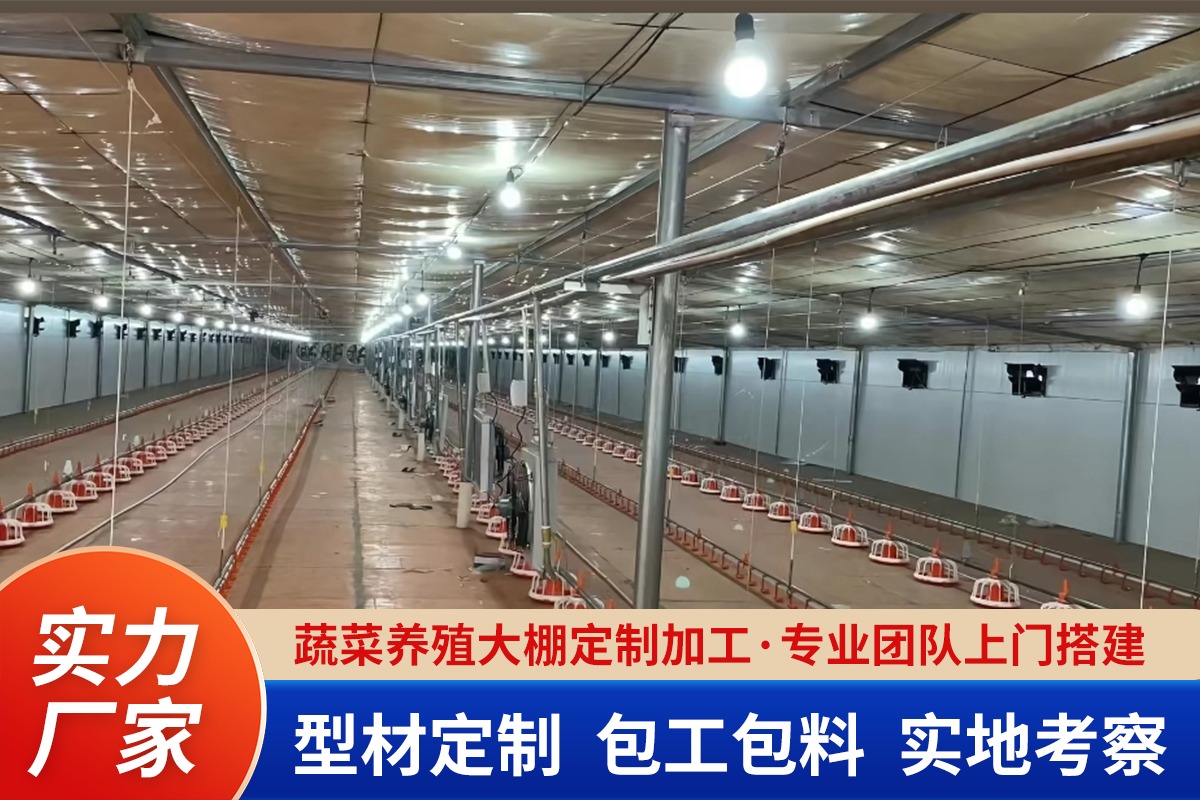 高分子复合材料拉伸测试
