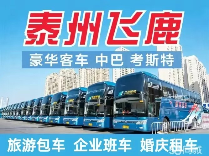 标准化车队管理与安全巡检流程展示