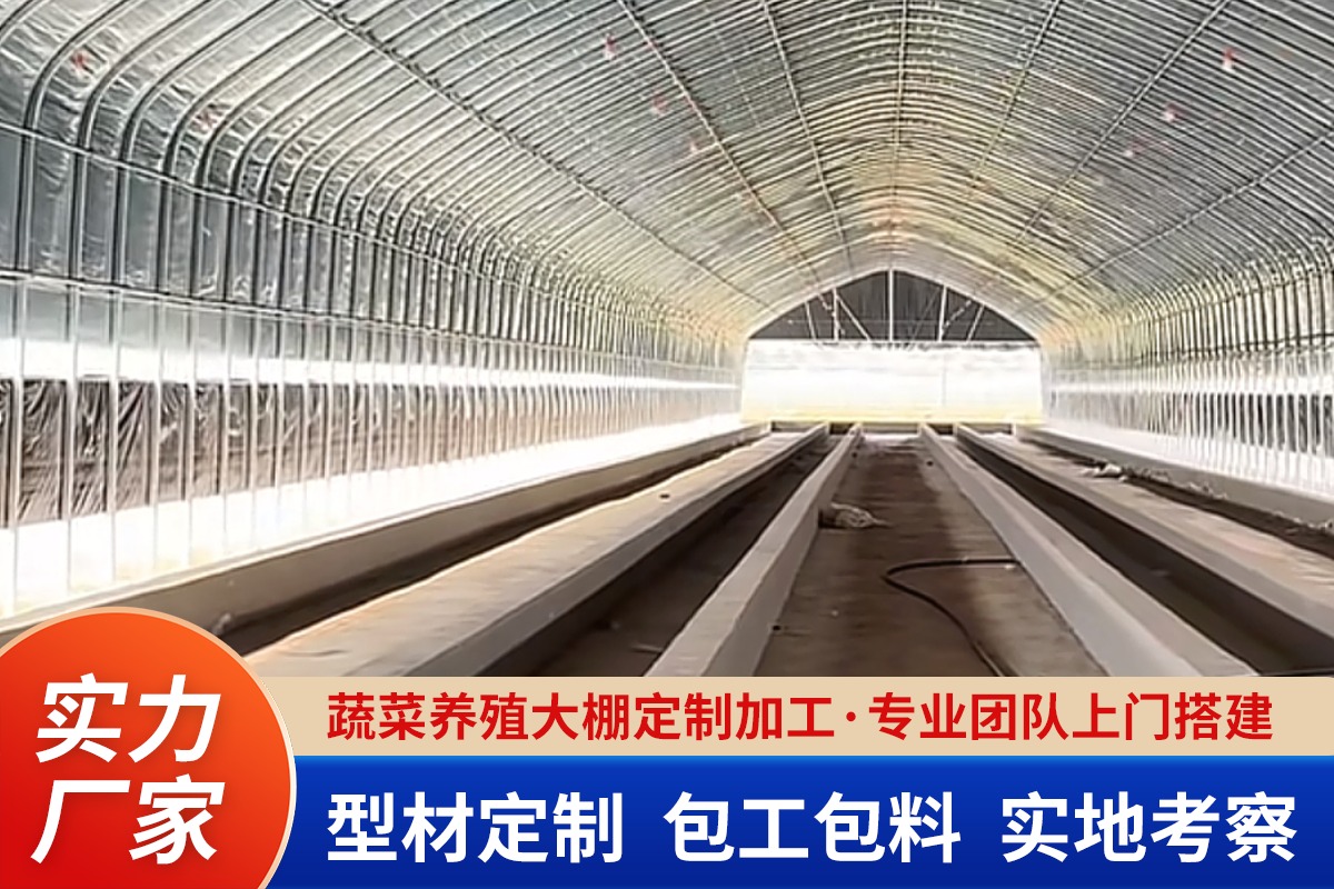蛋鸡舍内部结构示例
