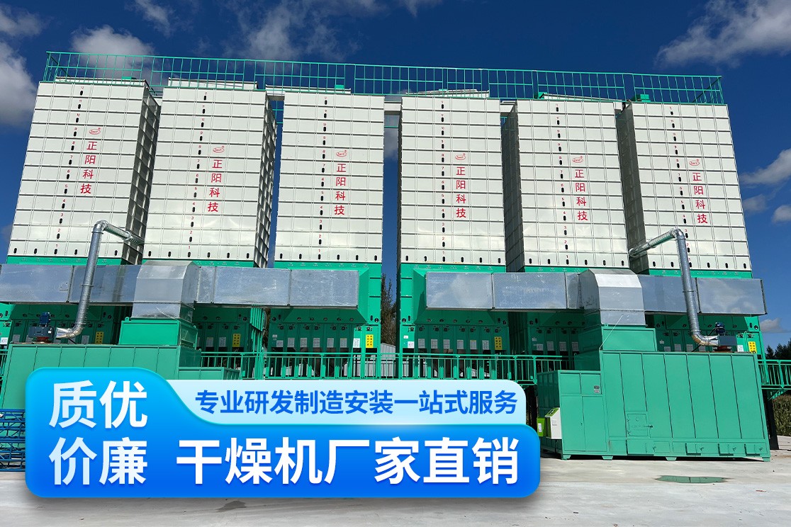 展示内容