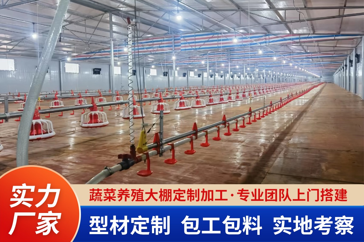 现代化养殖棚内部结构