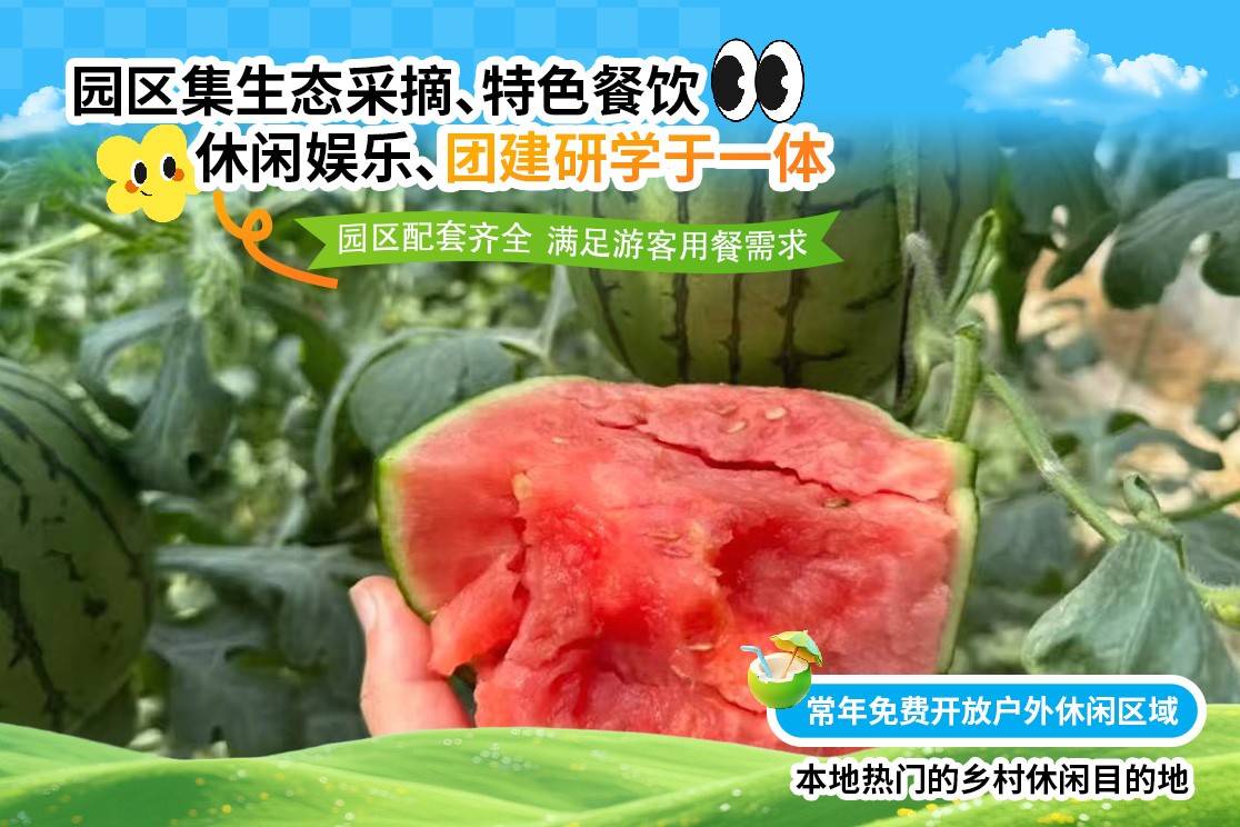 草坪户外生态实景