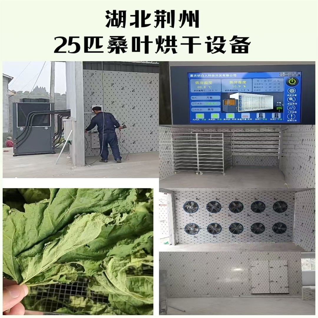 网带烘干设备实景图