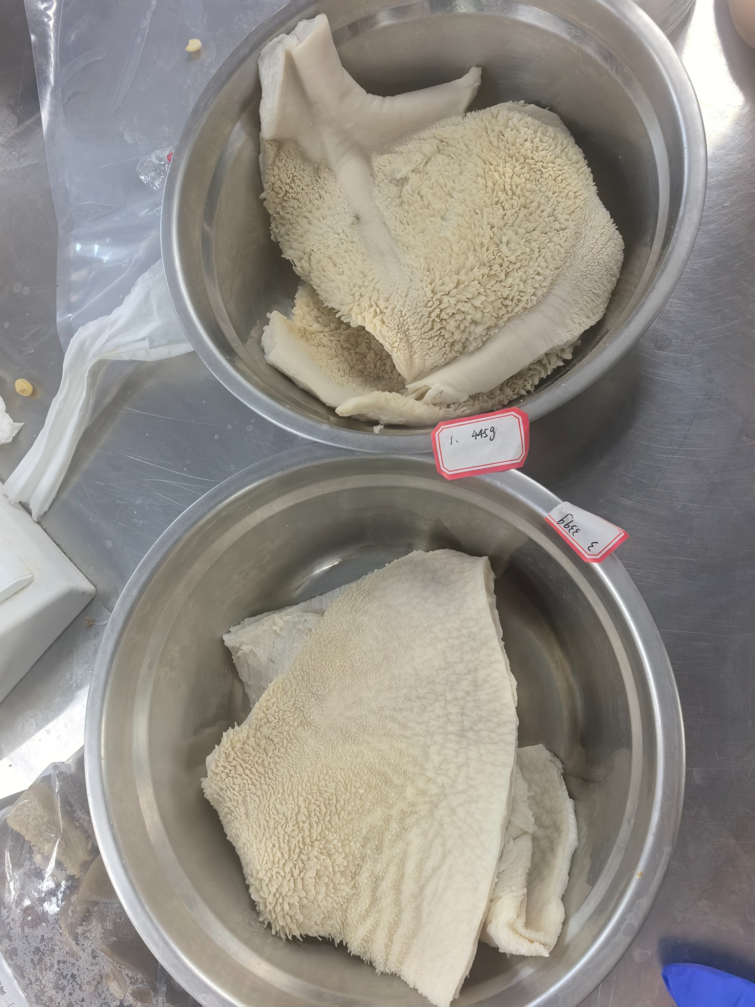 荥阳毛肚的泡发