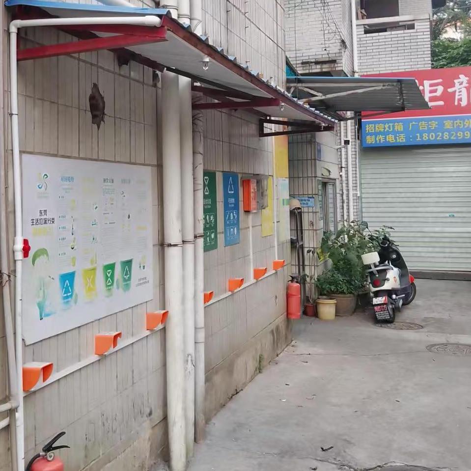 实拍图