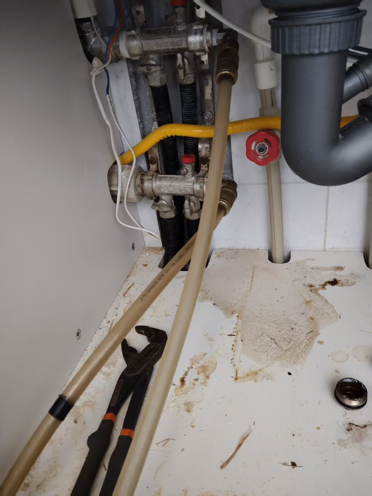 Service Image