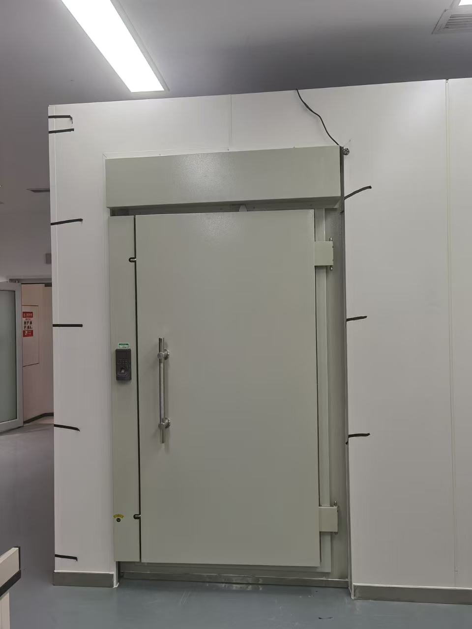 实拍图