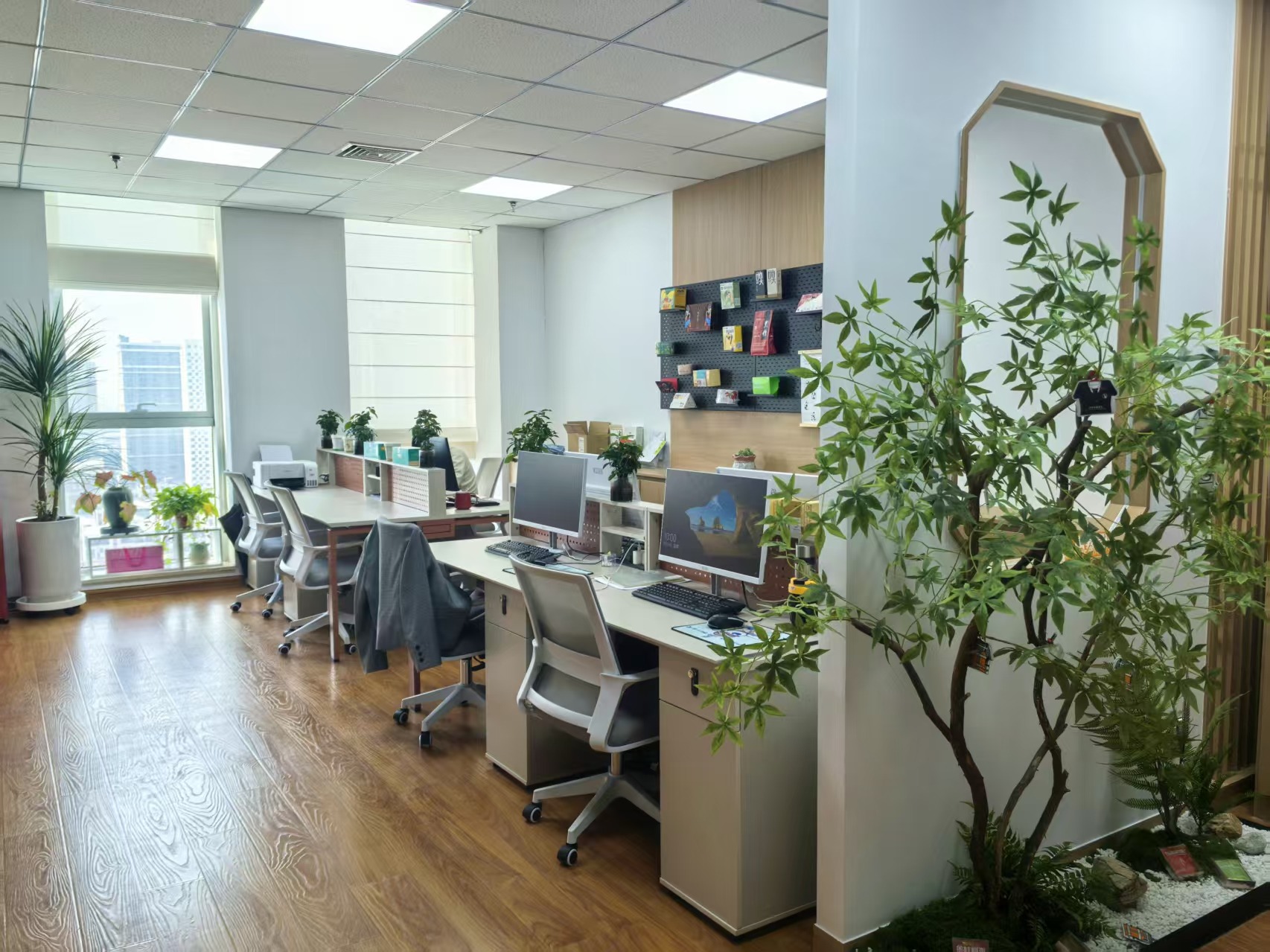 包装展示