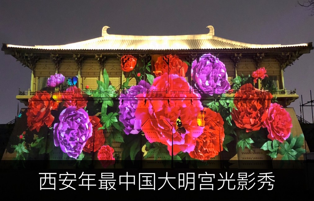 案例演示