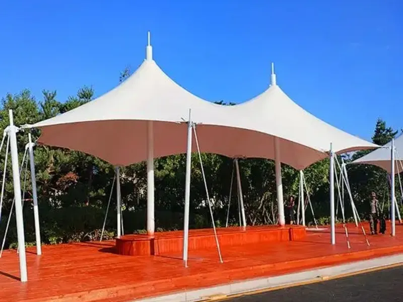 membrane canopy image 2