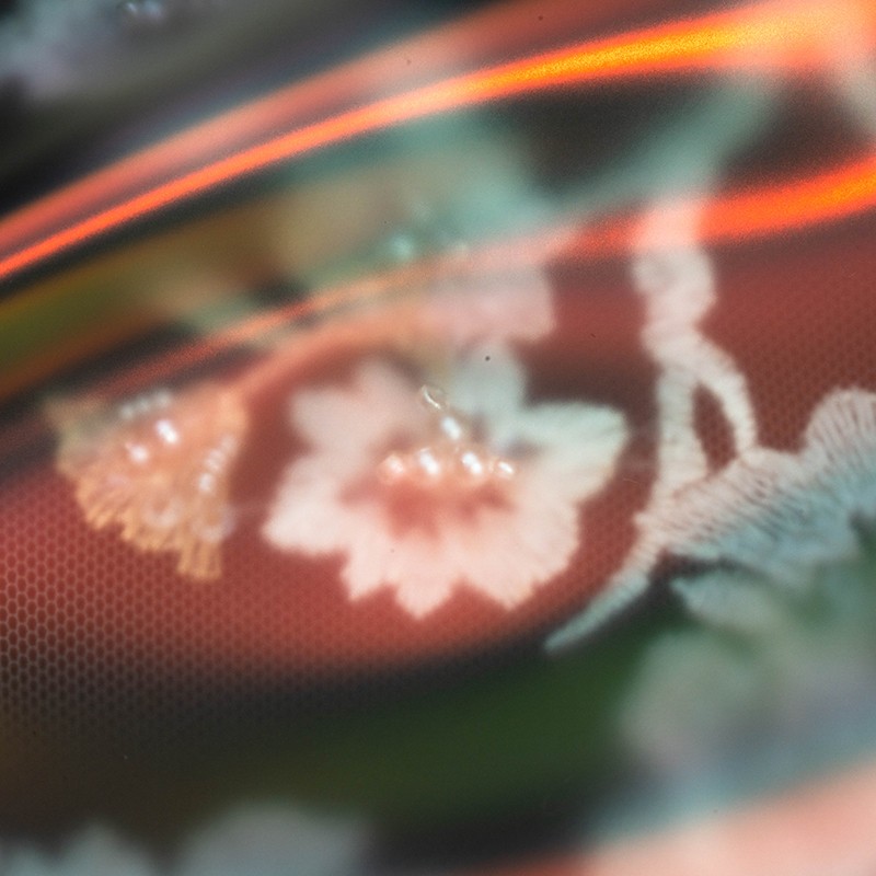 可覆合光子晶体膜