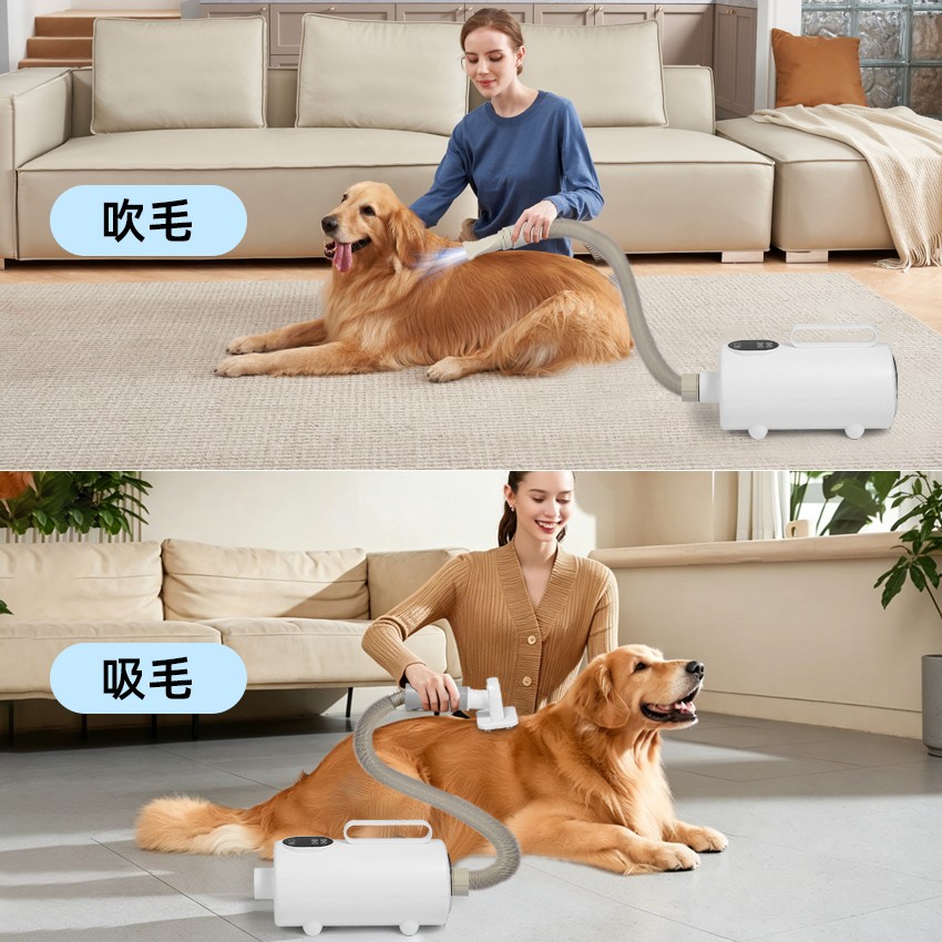 宠物吹水机生产线
