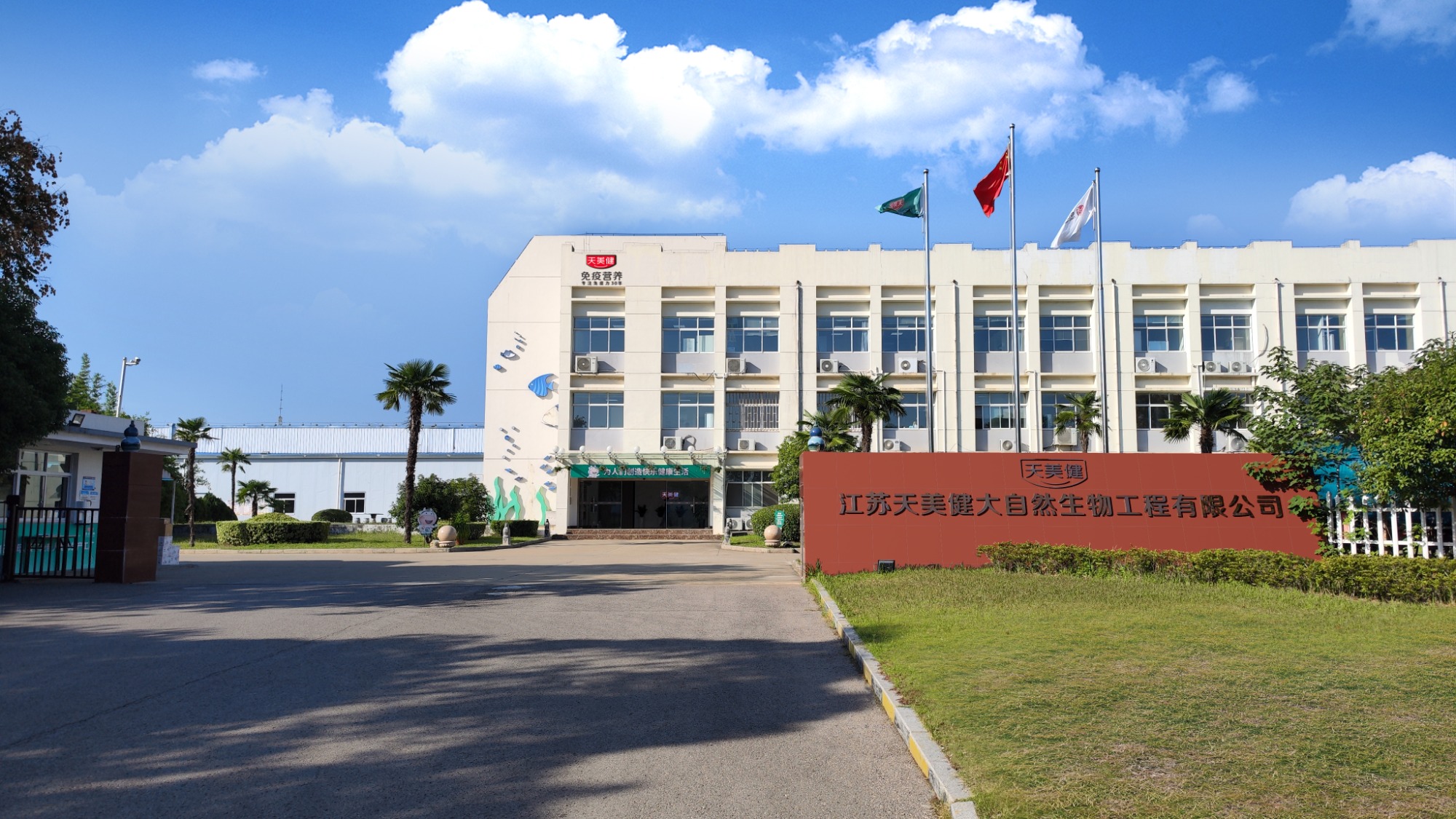 天美健大自然生物有限公司小绿条品牌