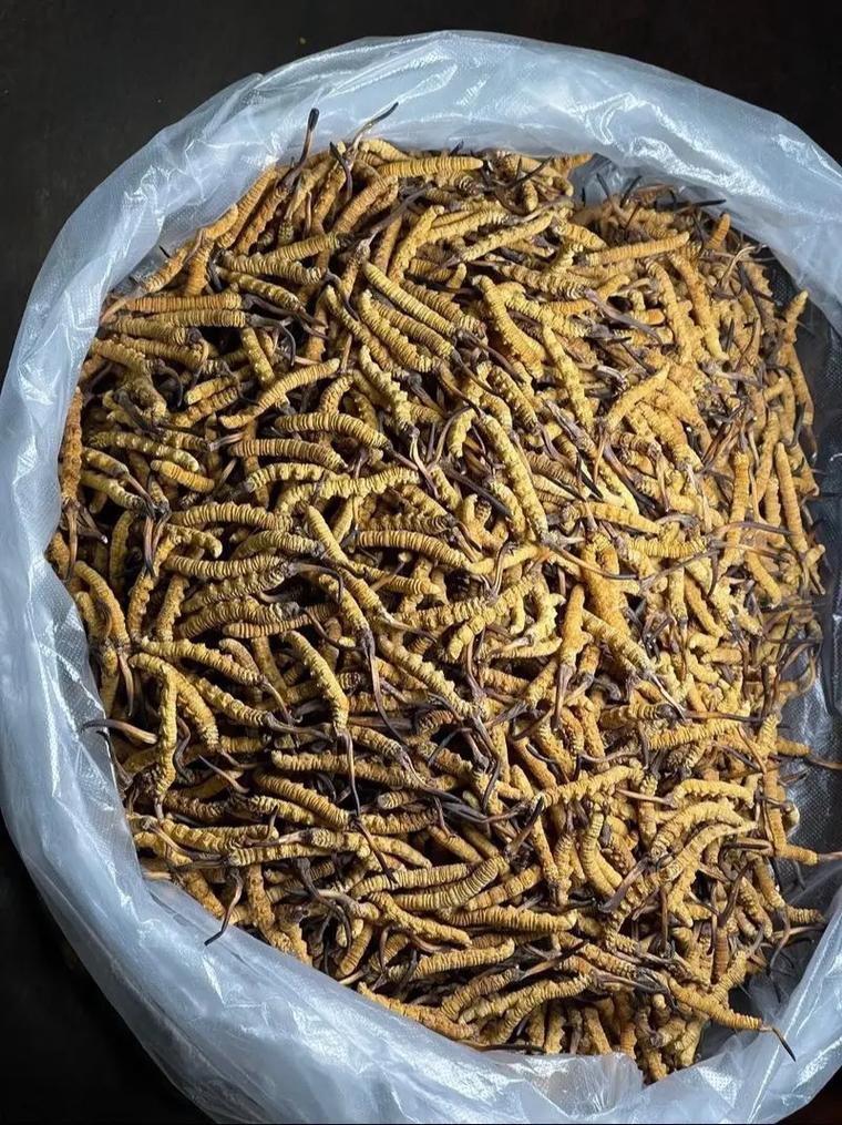 行业标准评估图示