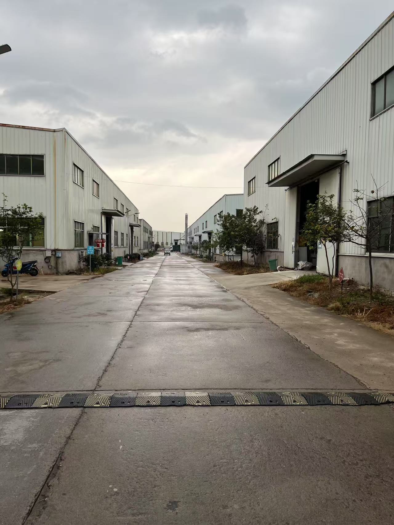 实木多层货架实景展示