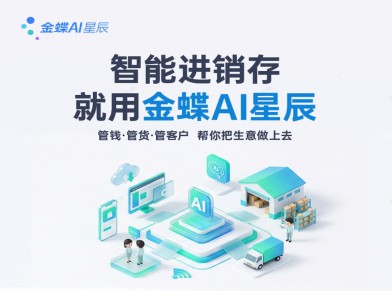 金蝶云星辰