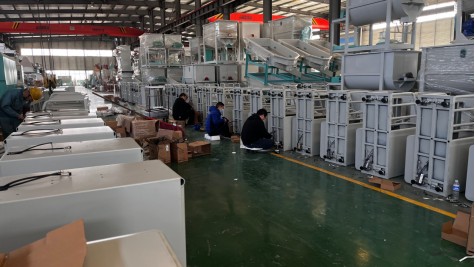智能称重分群系统实景图