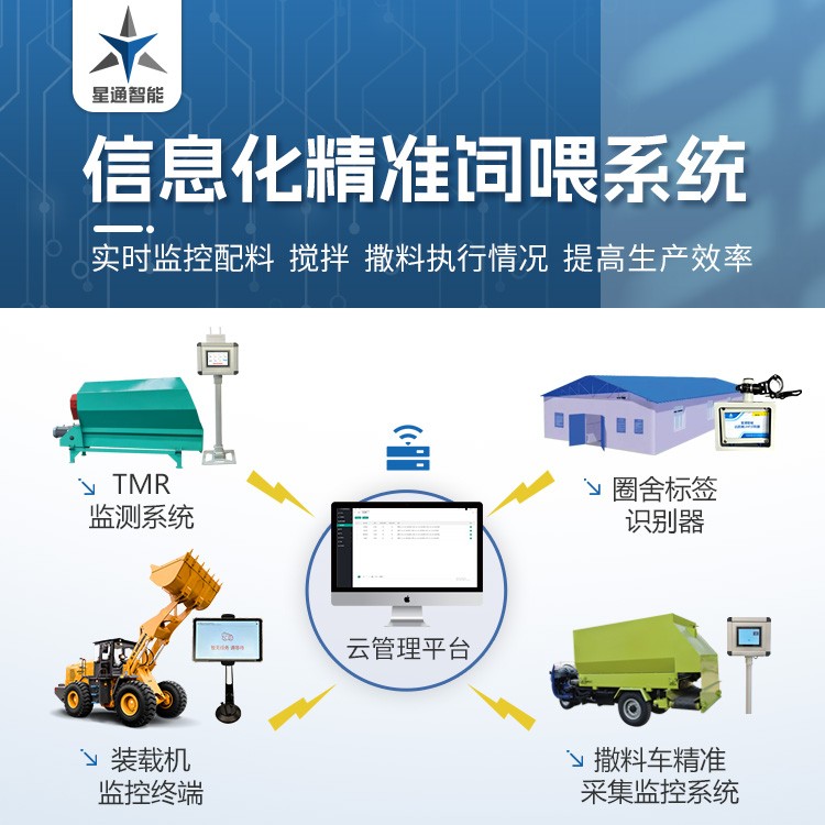 实拍图