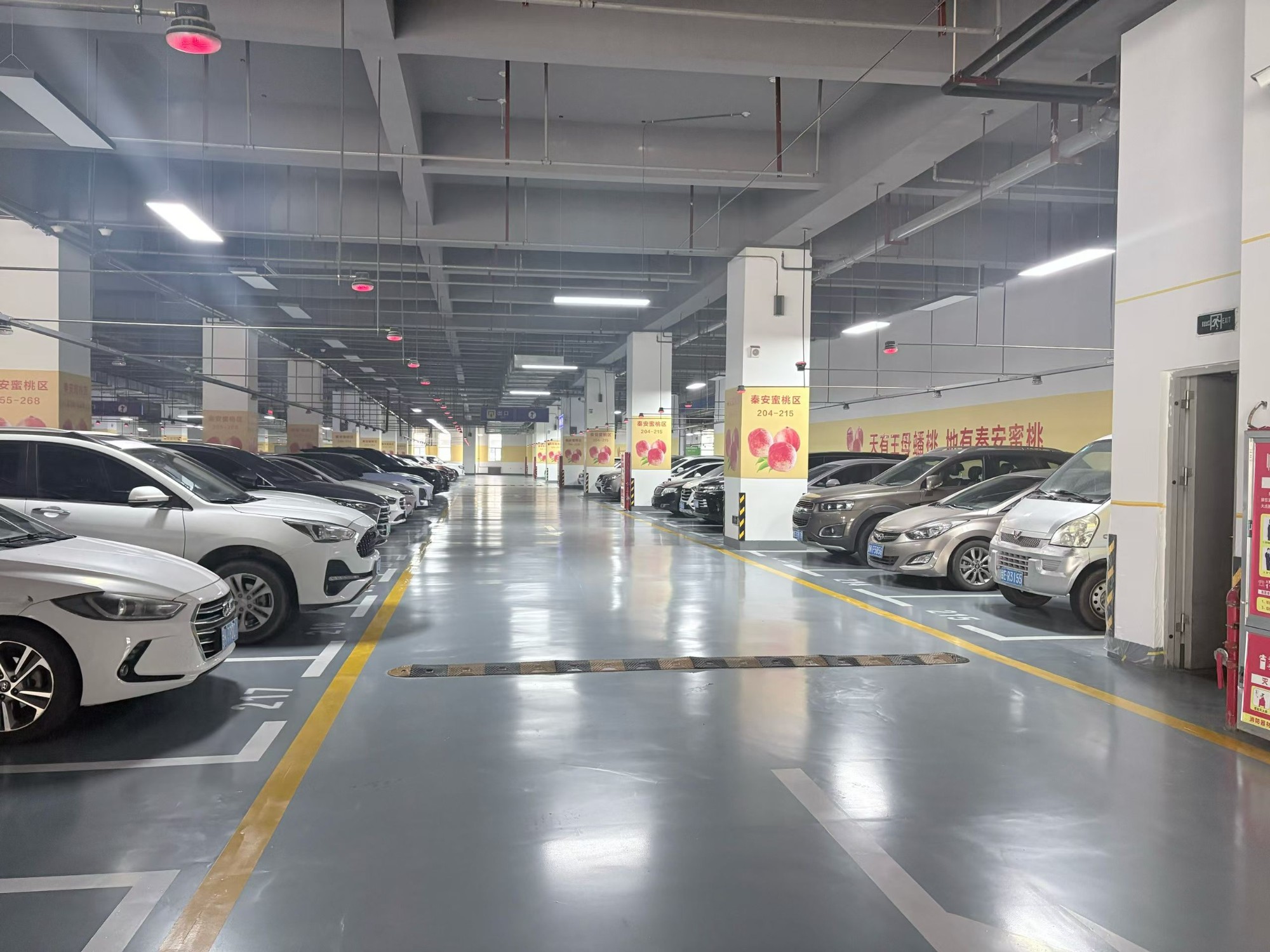 成品展示
