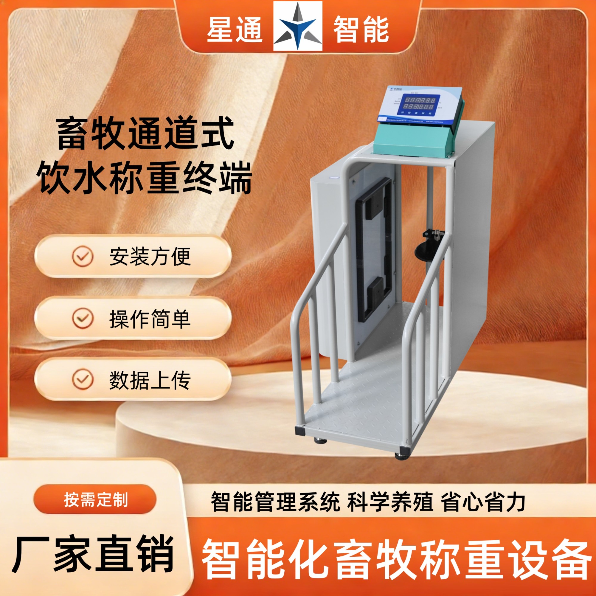 实拍图