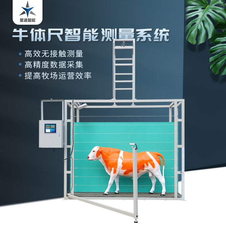 系统集成与电控展示