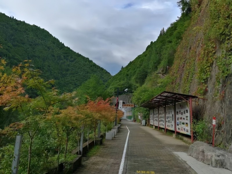光影隧道体验