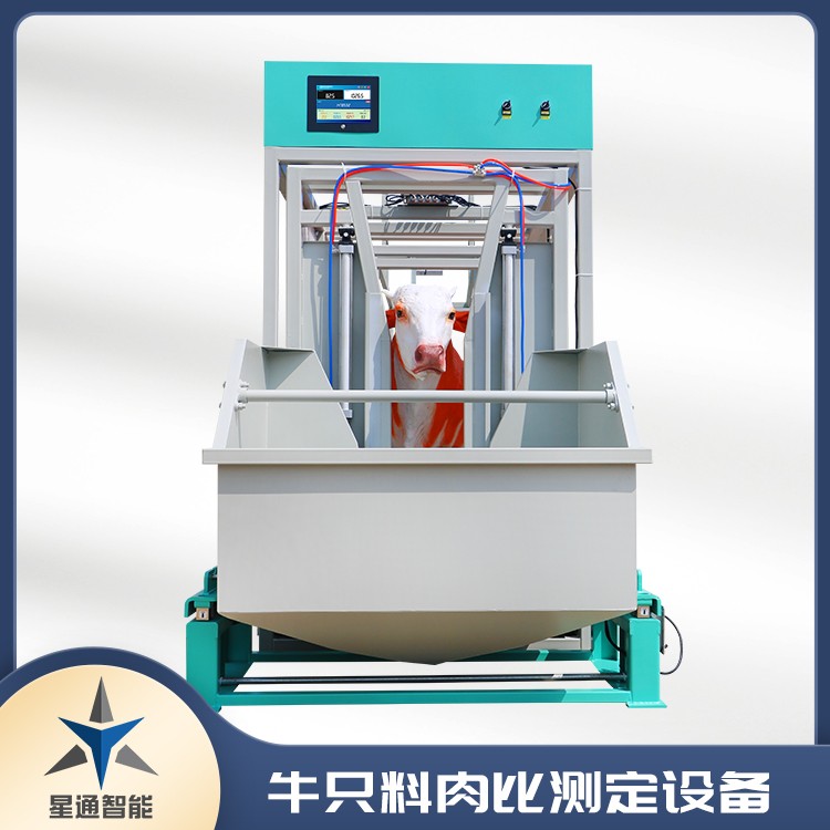 新乡犊牛称重设备