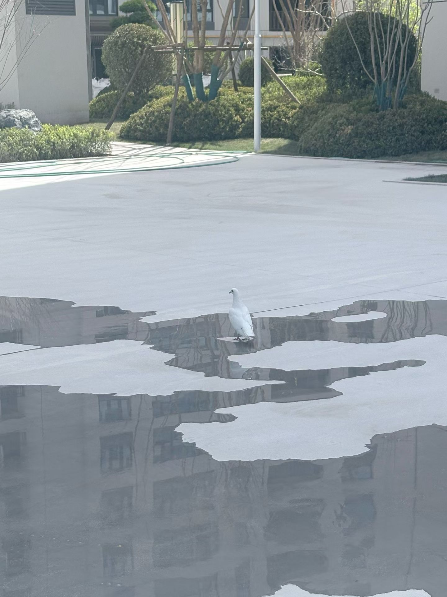甘南地区户外场地实景