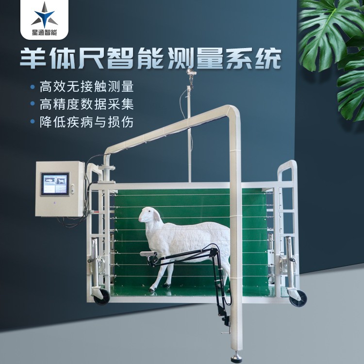 新乡犊牛精准饲喂