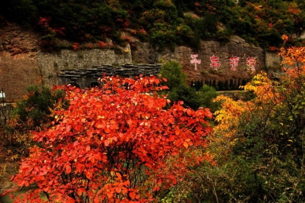 峡谷风光