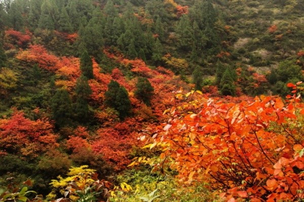 峡谷自然风光