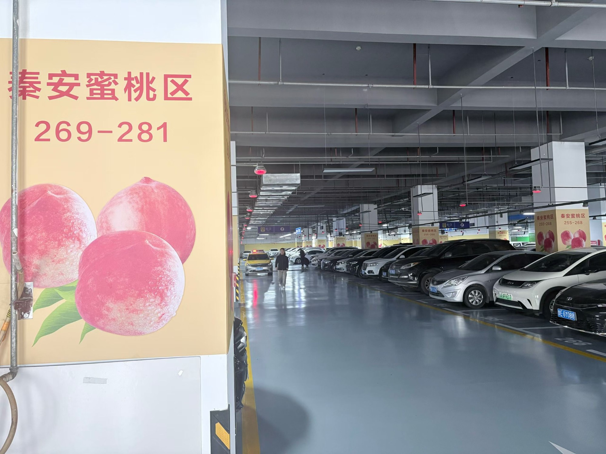 地坪材料与施工设备