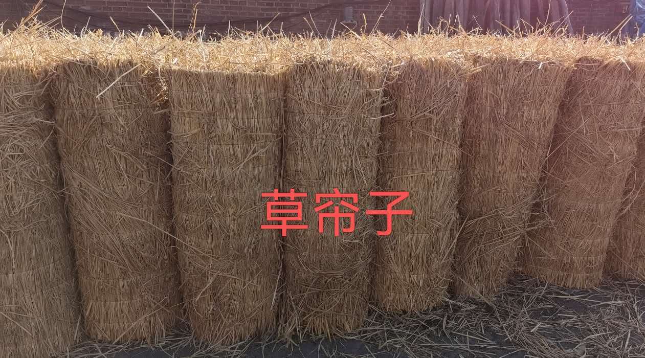 牡丹江草把子