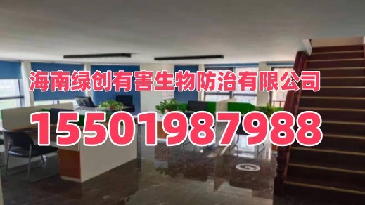 绿创有害生物防治建筑白蚁治理服务商