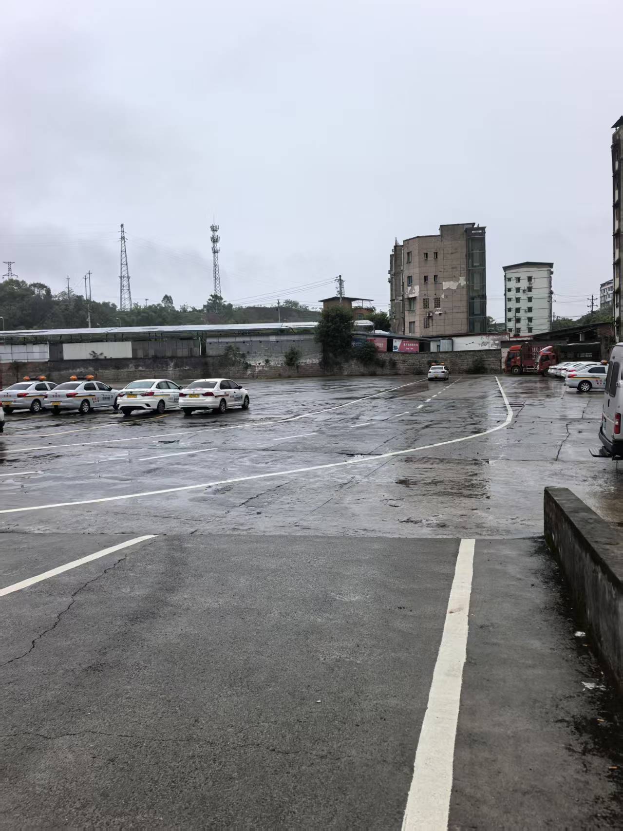 实拍图