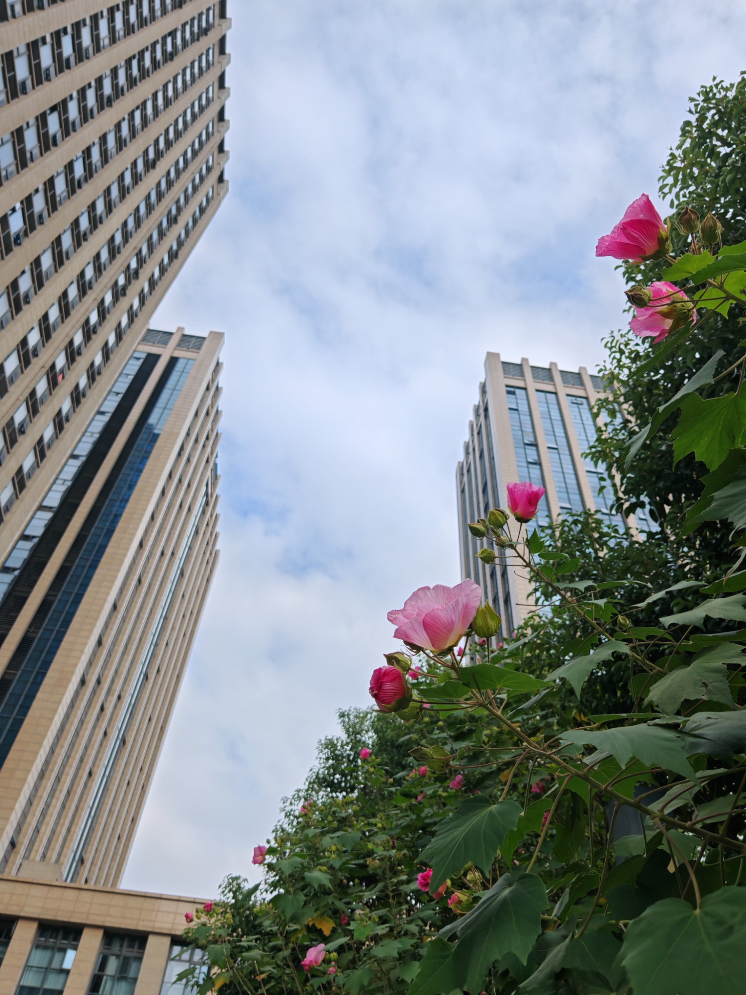 商业办公环境实景